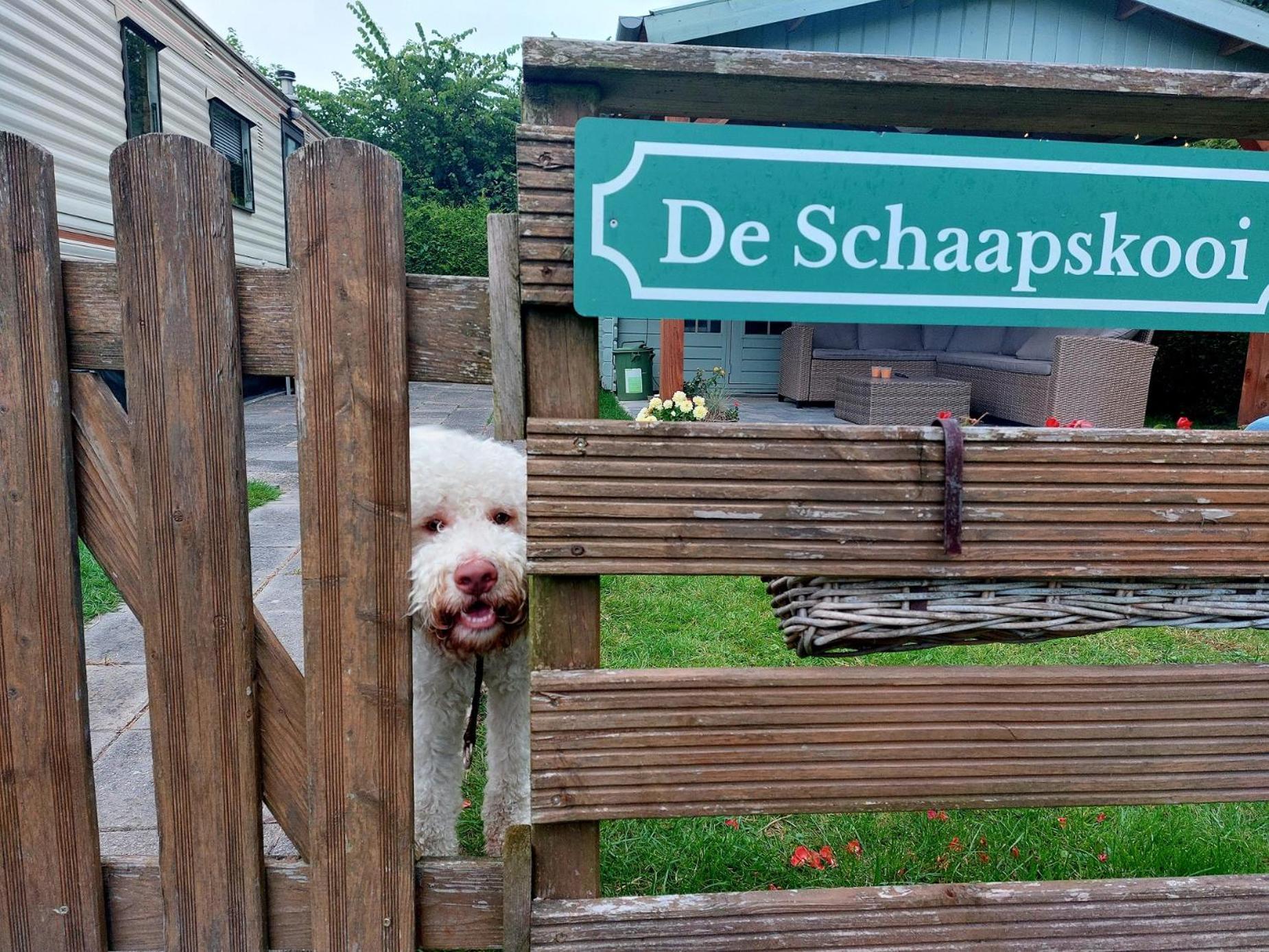 Familychalet De Schaapskooi, 6-Persons, Big Private Garden, Dogs Aloud Westergeest Bagian luar foto